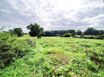 terrain à Lières (62)