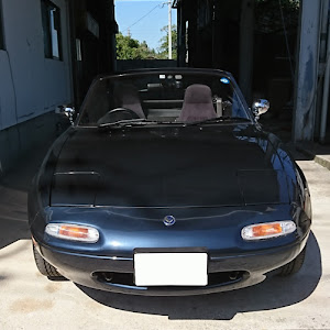 ロードスター NA8C