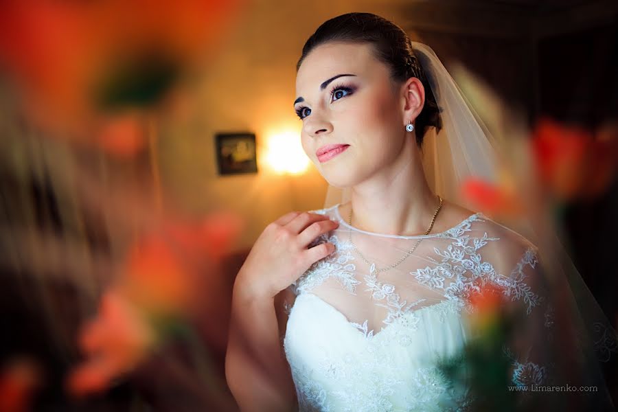 Wedding photographer Darina Limarenko (andriyanova). Photo of 15 October 2013