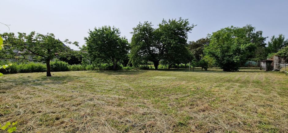 Vente terrain  1060 m² à Champigny-sur-Veude (37120), 28 000 €