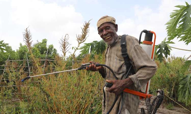 A Boni farmer sprays his crops in Mangai village, Lamu. Smallholder farmers who depend on rain-fed agriculture and use low-technology farming methods are particularly vulnerable to droughts.