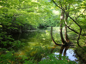 大沼の横に