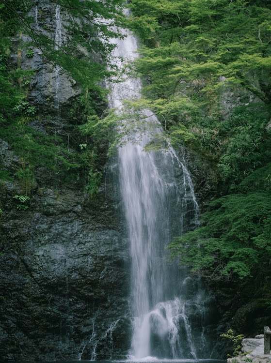 の投稿画像8枚目