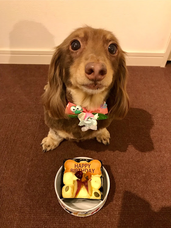 デリカD:5の誕生日🎂・密談🤫・銀デリコラボに関するカスタム事例の投稿画像1枚目