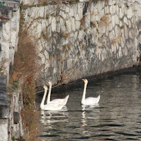 lungo le vie del lago di 