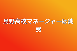 烏野高校マネージャーは鈍感