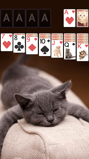 Solitaire Cute Cats Theme