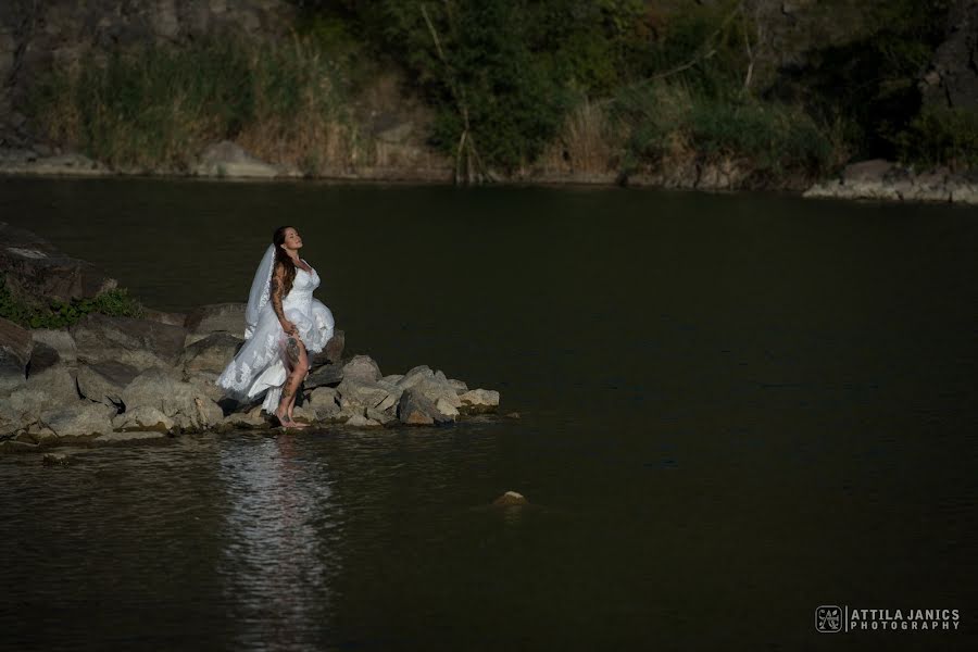 Fotografo di matrimoni Attila Janics (attilajanics). Foto del 3 marzo 2019