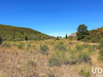 terrain à Fontjoncouse (11)