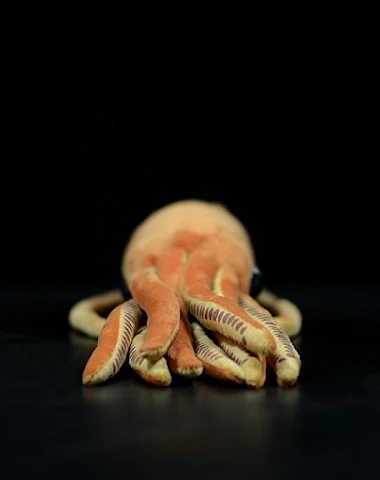 King Squid Pop Simulatie Inktvis Pl - 2