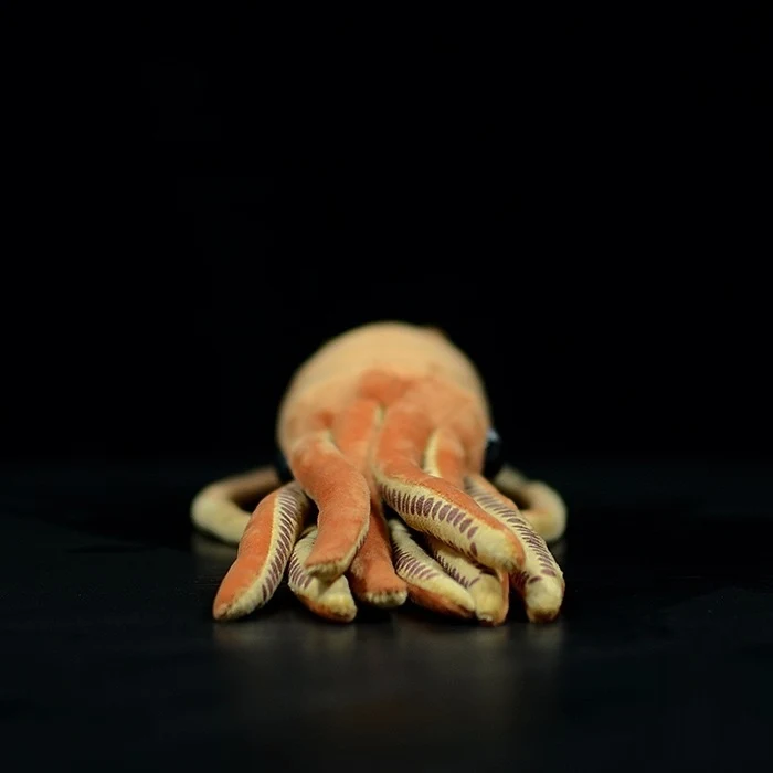 images slider number - 2