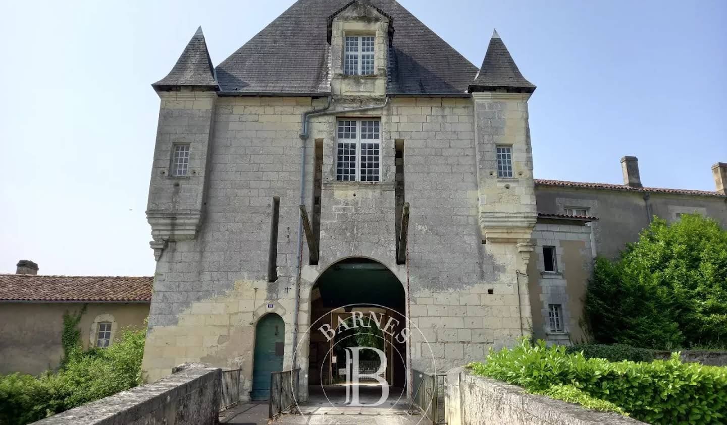 Castle Bordeaux