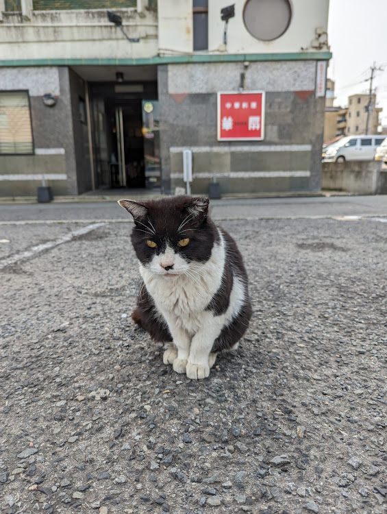 の投稿画像18枚目