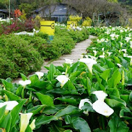 【竹子湖】苗榜花園餐廳