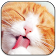 Cute Cat Wallpapers icon