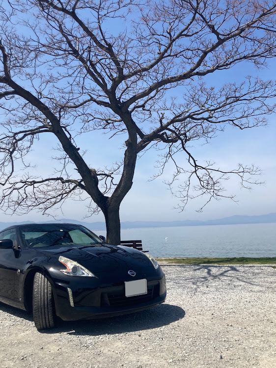フェアレディZの桜と愛車・あかねキムチ・あのベンチ・なのはなばたけ・琵琶湖に関するカスタム事例の投稿画像2枚目