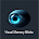 Visual Memory Blinks icon