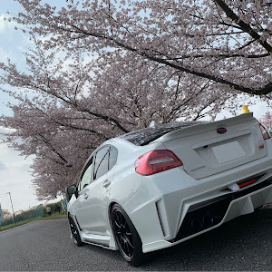 WRX STI VAB