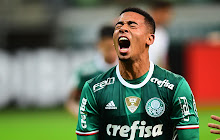 SE Palmeiras Tab small promo image