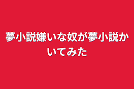 夢小説嫌いな奴が夢小説書いてみた