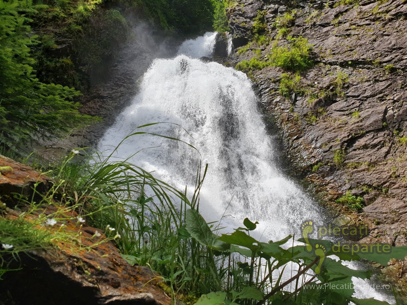 cascada valul miresei, valul miresei, rachitele cluj, rachitele cascada, valul miresei cluj, valul miresei cascada, valul miresei traseu, valul miresei waterfall, valul miresei rachitele, cascada rachitele, obiective rachitele, parcul natural muntii apuseni, apuseni, muntii apuseni