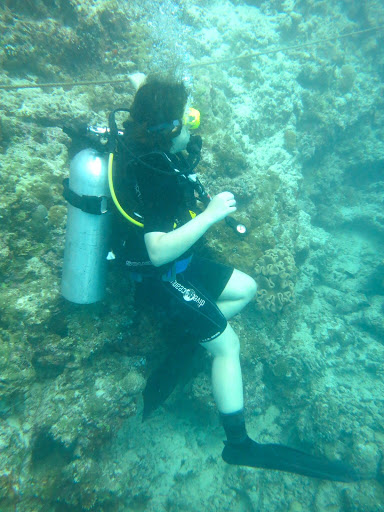 Underwater in The Maldives 2014