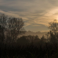 Alba nelle Langhe di 