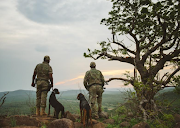 Two dogs have been introduced by Ezemvelo KZN Wildlife to boost the fight against rhino poachers.