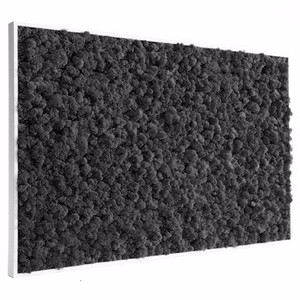 Tableau végétal stabilisé Lichen noir 60 x 80 cm
