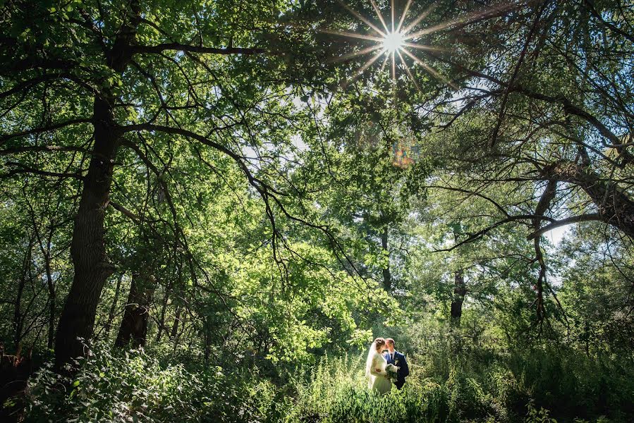 Fotógrafo de bodas Ivan Stepanenko (finer). Foto del 15 de septiembre 2015