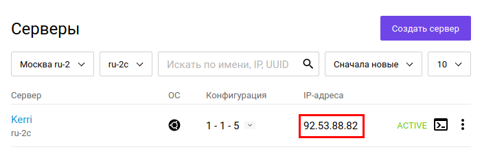 копируем ip-адрес