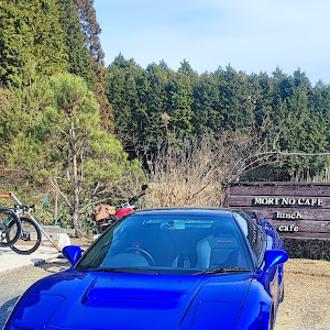 NSX NA1