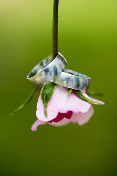 Svatební fotograf Janos Szilvasi (szilvasijanos). Fotografie z 9.prosince 2018