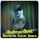 Download Masteran Ciblek Ngebren Gacor Lengkap Juara For PC Windows and Mac 1.0