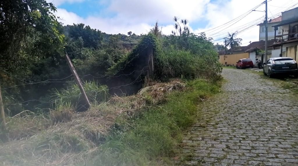 Terreno Residencial à venda em Pimenteiras, Teresópolis - RJ - Foto 2