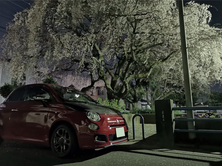 500の夜桜・ご近所さんに関するカスタム事例の投稿画像2枚目