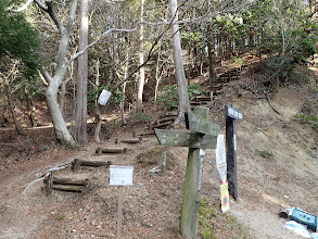 臼杵ヶ岳へ向かう