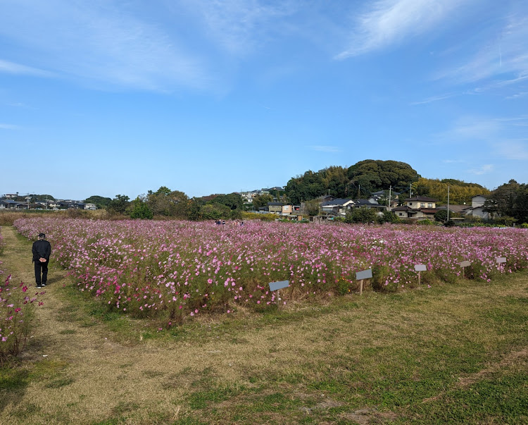 の投稿画像2枚目