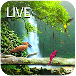 Cover Image of Herunterladen Water Falling live HD Wallpaper app 1.6 APK