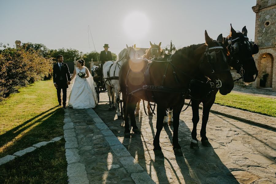 Bryllupsfotograf Elena Ch (chebaele). Bilde av 19 juni 2019