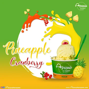 Apsara Ice Creams menu 