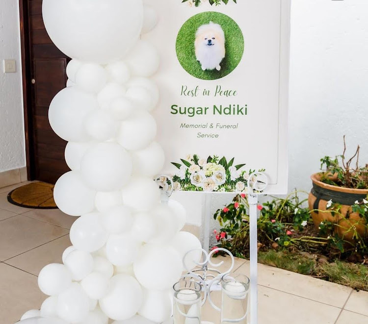 Moshe Ndiki's burial set-up for his dog