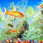 Aquarium Live Wallpapers Apk