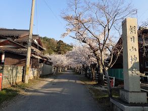 朝日山神社へ