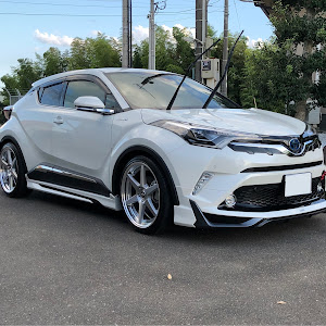 C-HR ZYX10