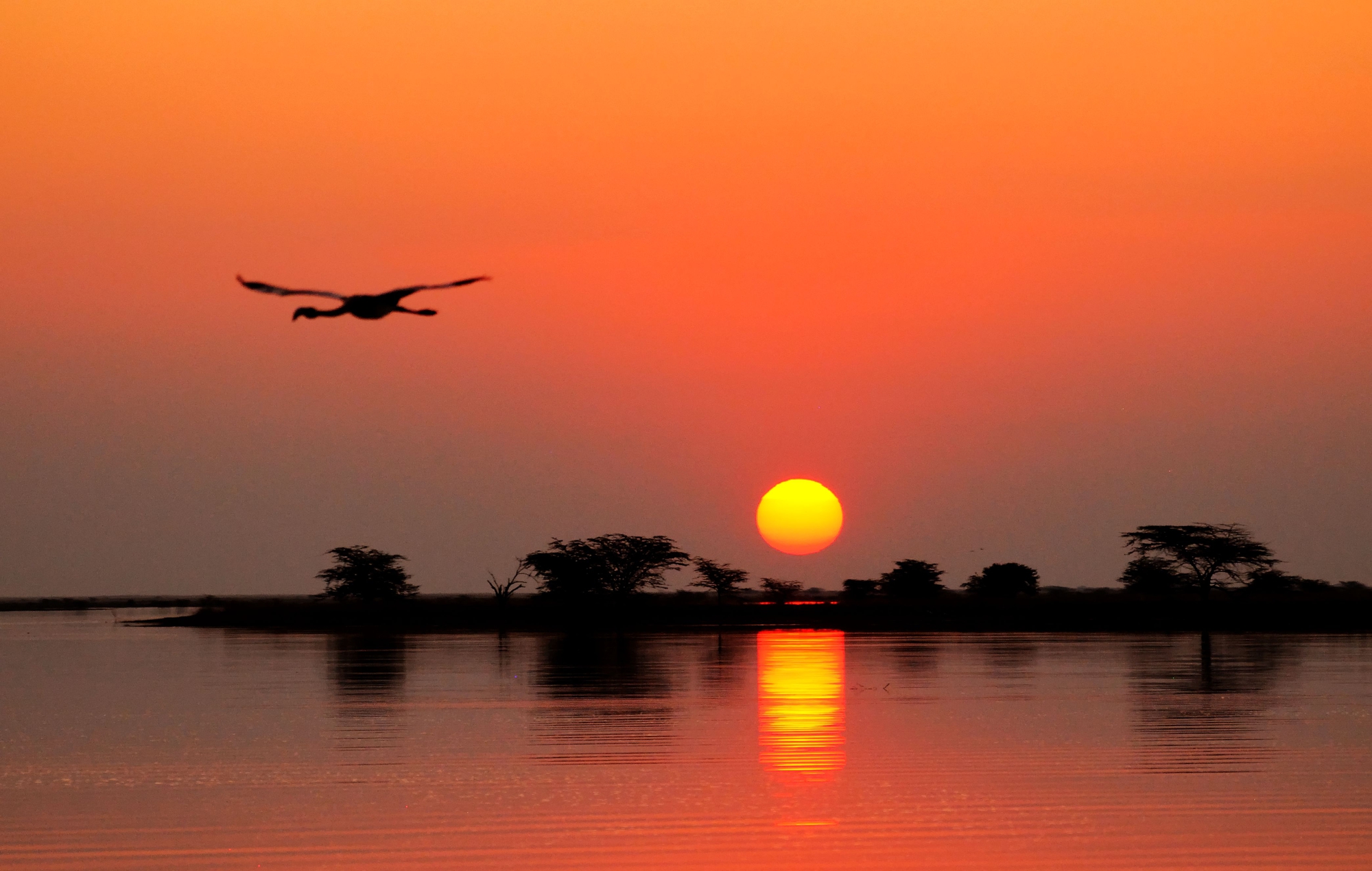 Tramonto di vitomaso