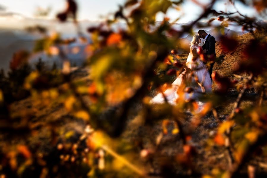 Fotógrafo de bodas Ciprian Grigorescu (cipriangrigores). Foto del 31 de octubre 2018