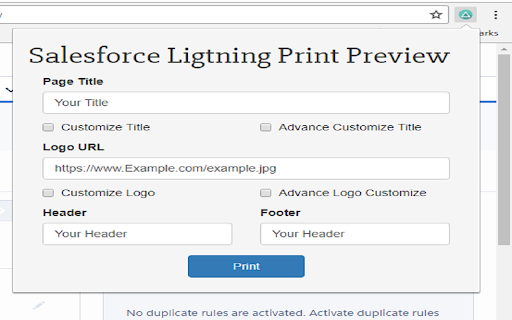 Salesforce Lightning Print Preview