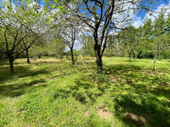 terrain à Talmont-Saint-Hilaire (85)