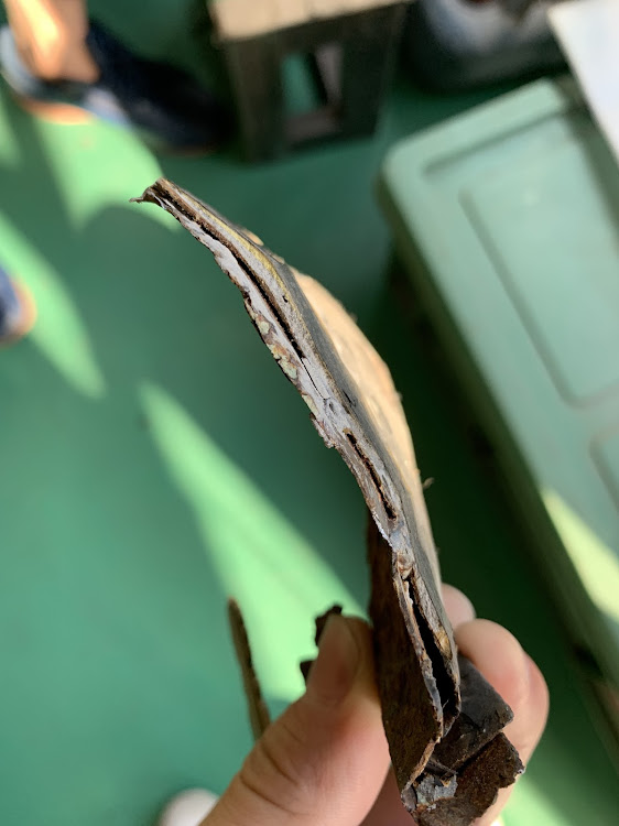 ブルーバードのこうきさんが投稿したカスタム事例の投稿画像2枚目